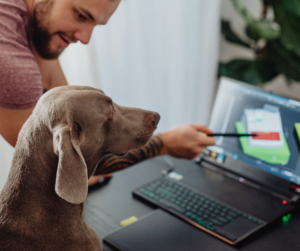 Pet Insurance SA Jargon